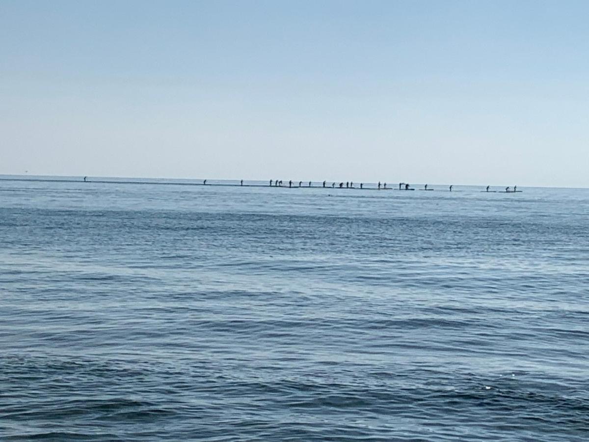 Apartamentoen La Playa, 200 Mts De La Playa Nuevo Santa Pola Esterno foto